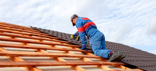 Best Roof Leak Repair  in Edgewater, MD